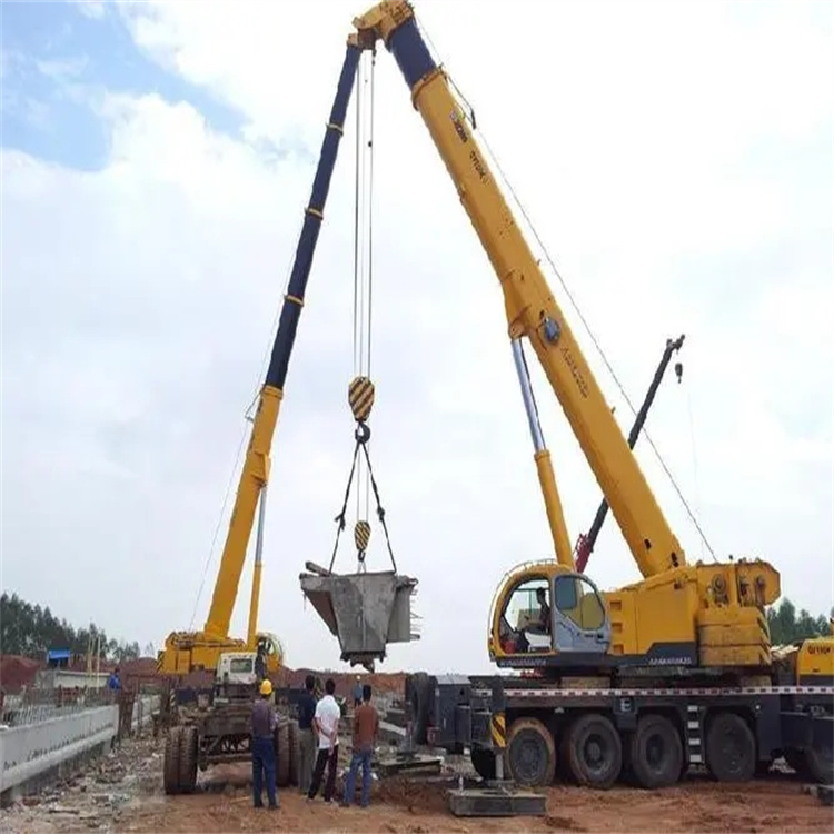 蒋湖农场小型吊机出租电话|厂房设备吊装方案|24小时服务覆盖